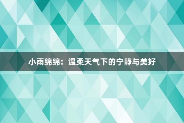 小雨绵绵：温柔天气下的宁静与美好